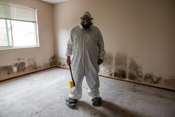 Best HVAC Mold Remediation in Oak Ridge, TN